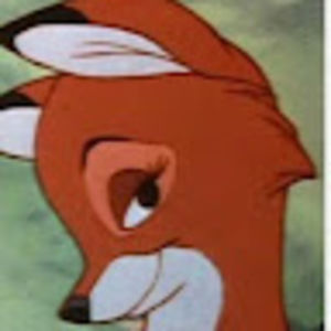 Meet your Posher, Zoey